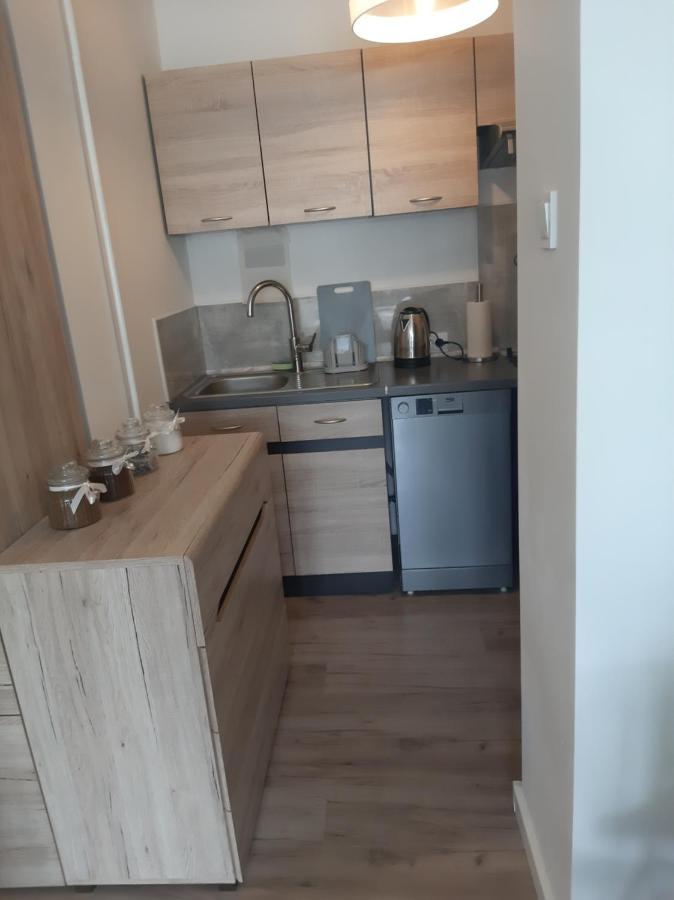Apartament Komfortowy - W Pelni Wyposazony - Spaceapart Appartement Jelenia Góra Buitenkant foto